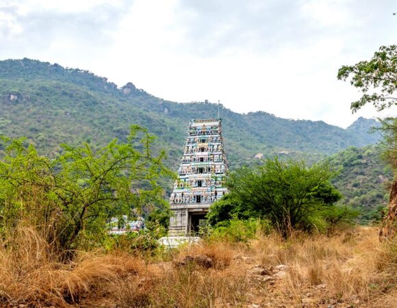 2-maruthamalai-subramaniya-swamy-temple-attr-hero