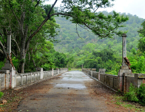 coimbatoretamilnadu-1