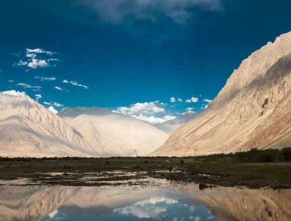 Nubra-Valley-Ladakh-741x440